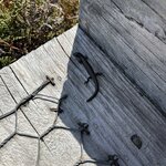 Photo taken by Amy Z