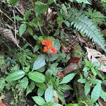 Photo taken by christy l