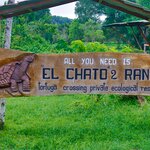 Photo taken by mindy n