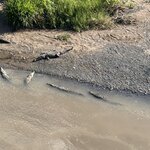 Photo taken by Erika M