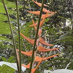 Photo taken by Blair H