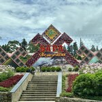 Photo taken by Kelly D