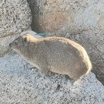 Photo taken by Crystall P