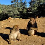 Photo taken by Bianca C