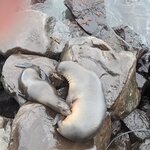 Photo taken by mimi s