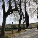 Photo taken by Paul M