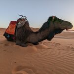 Photo taken by Hunter M