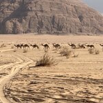 Photo taken by Kristin M