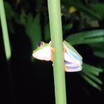 Photo taken by Mordechay T