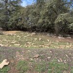 Photo taken by Jackie O