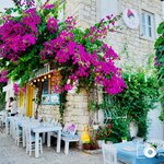 Photo taken by Aaron L