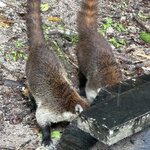 Photo taken by brian w