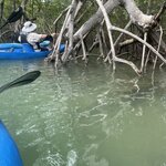 Photo taken by Kozue N