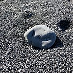 Photo taken by kirsten b