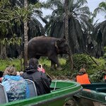 Photo taken by Rob C