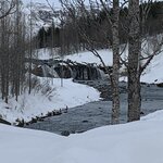 Photo taken by Shannon C