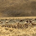 Photo taken by Terje R