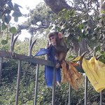 Photo taken by Graham W