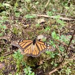 Photo taken by Barbara V