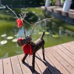 Photo taken by Kelsey S