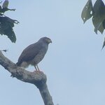 Photo taken by Breann B