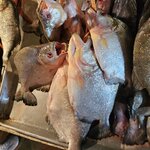 Photo taken by Peter F