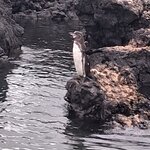 Photo taken by Elise C