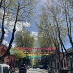 Photo taken by Rachel P