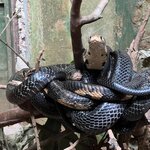 Photo taken by Michael L