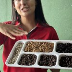 Photo taken by Lauren A