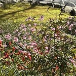 Photo taken by Kirti P