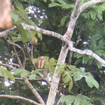 Photo taken by Anna L