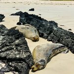 Photo taken by Katarzyna W