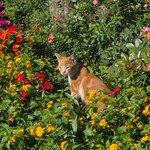 Photo taken by Marianne B