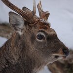 Photo taken by Iain M