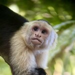 Photo taken by KLAUS A