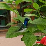 Photo taken by Garritt V