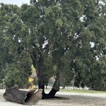 Photo taken by Vicki V