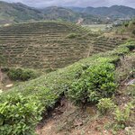 Photo taken by Susan R