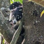 Photo taken by Denise M