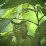 Photo taken by Bert B