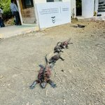 Photo taken by Cathy V