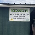 Photo taken by Crystall P