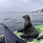 Photo taken by Ben S