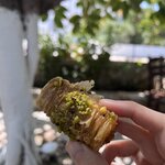 Photo taken by Cassidy J