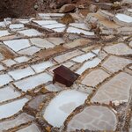 Photo taken by Tara T