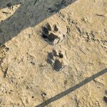 Photo taken by Cayden S