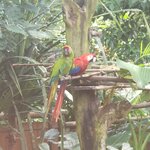 Photo taken by Tracye P