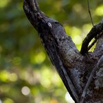 Photo taken by Sabine V