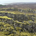 Photo taken by Meg K